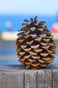 A Solitary Pinecone Still Life Journal