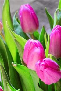 Pink Tulips of Spring in a Vase Journal