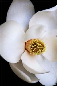 Lovely White Magnolia Flower Up Close Journal