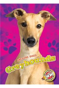 Greyhounds