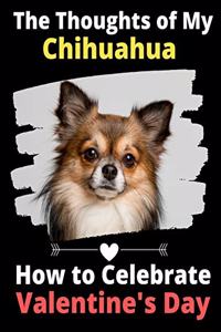 Thoughts of My Chihuahua