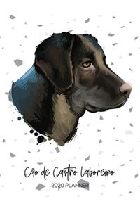 Cão De Castro Laboreiro 2020 Planner