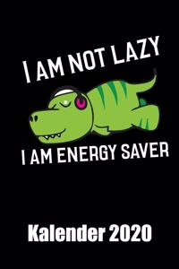 I am not lazy I am enery saver Kalender 20202