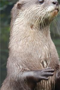 Otter Composition Notebook