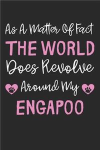 As A Matter Of Fact The World Does Revolve Around My EngAPoo