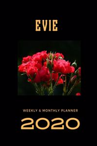 2020 Weekly & Monthly Planner