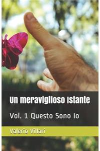 meraviglioso Istante: Vol. 1 Questo Sono Io