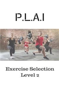 P.L.A.I Exercise Selection Level 2
