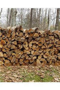 School Composition Book Cut Stacked Woodpile Against Forest Winter Sky 130 Pages