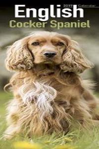 English Cocker Spaniel Slim Calendar 2019