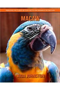 Macaw: Amazing Pictures & Fun Facts on Animals in Nature
