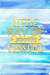 Little Ray of Sarcastic Sunshine