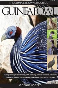 Guinea Fowl