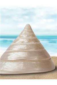 Sea Shell Notebook