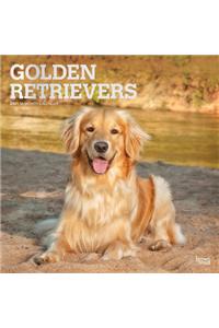 Golden Retrievers 2021 Square Foil