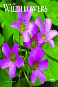 Wildflowers 2023 Mini 7x7
