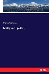 Malaysian Spiders
