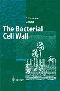 Bacterial Cell Wall