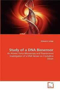 Study of a DNA Biosensor