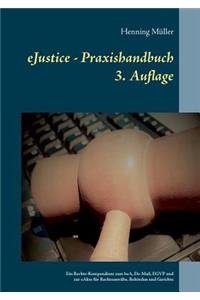 Ejustice - Praxishandbuch