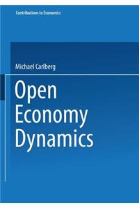 Open Economy Dynamics