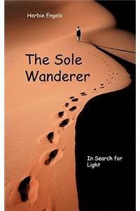 The Sole Wanderer