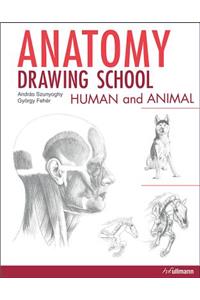 Anatomy Drawing School