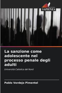 sanzione come adolescente nel processo penale degli adulti