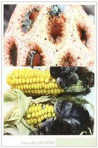 Hongos medicinales
