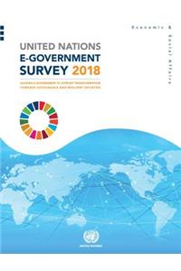 United Nations e-government survey 2018