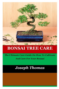 Bonsai Tree Care