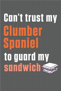 Can't trust my Clumber Spaniel to guard my sandwich