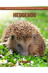 Hedgehog