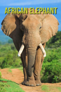 African Elephant: African Elephant: Children's Books --- Amazing Pictures and Facts About African Elephant