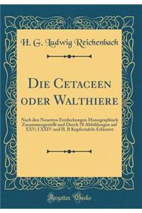 Die Cetaceen oder Walthiere: Nach den Neuesten Entdeckungen Monographisch Zusammengestellt und Durch 78 Abbildungen auf XXV; I XXIV und II. B Kupfertafeln Erläutert (Classic Reprint)