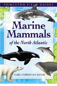 Marine Mammals of the North Atlantic