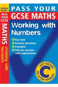 Working with Numbers (Pass Your) Paperback â€“ 1 January 2004