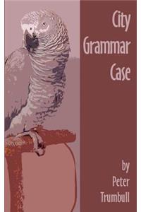 City Grammar Case