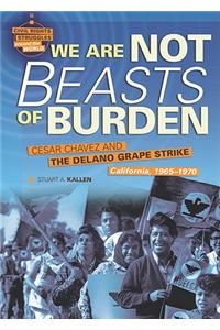 We Are Not Beasts of Burden