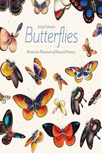 Butterflies 2019 Mini Calendar