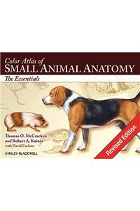 Color Atlas of Small Animal Anatomy