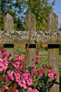 Pink Asters by the Wooden Fence Journal: 150 Page Lined Notebook/Diary