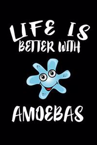Life Is Better With Amoebas
