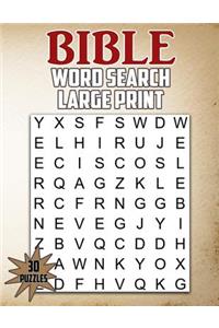 Bible Word Search Large Print