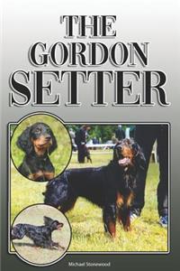 Gordon Setter