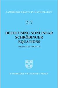 Defocusing Nonlinear Schrödinger Equations