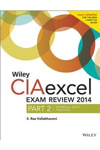 Wiley CIA Exam Review + Test Bank + Focus Notes, Internal Audit Practice