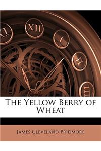 Yellow Berry of Wheat
