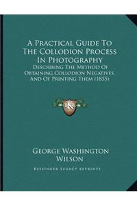Practical Guide To The Collodion Process In Photography