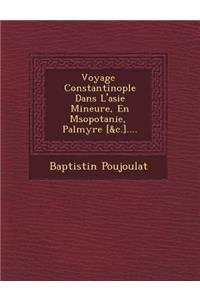 Voyage � Constantinople Dans L'asie Mineure, En M�sopotanie, � Palmyre [&c.]....